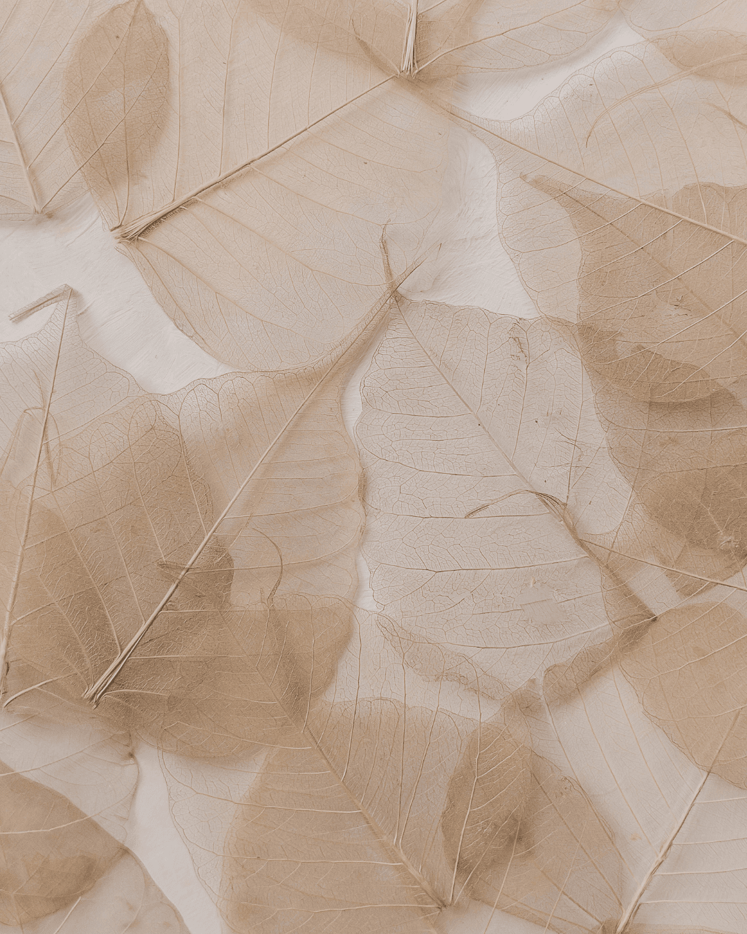 The Gender Pension Gap: Why Women Retire Poorer